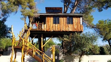 Meskīta mājiņa kokā Arizonā, ASV 